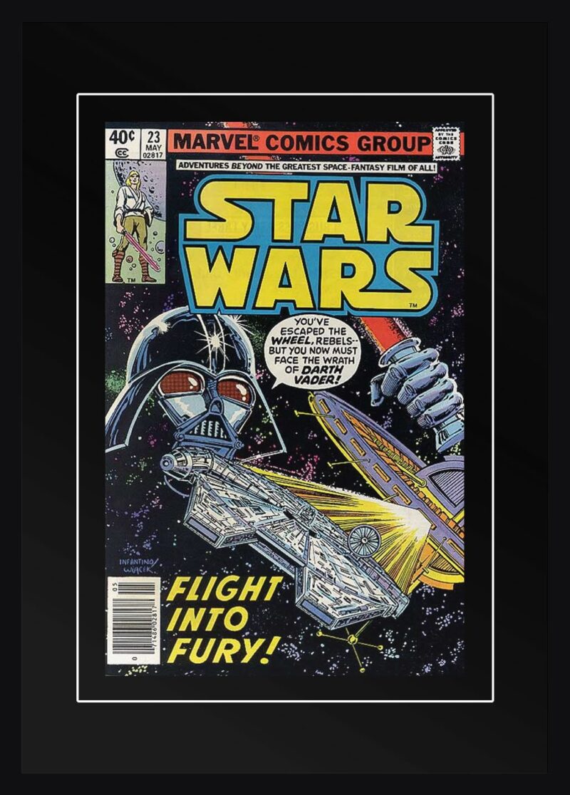 Star Wars "Flight into Fury!"