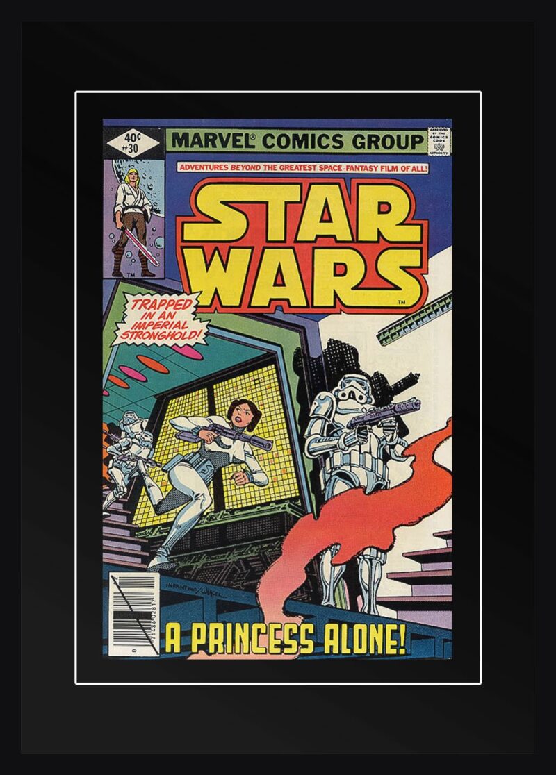 Star Wars "A princess alone"